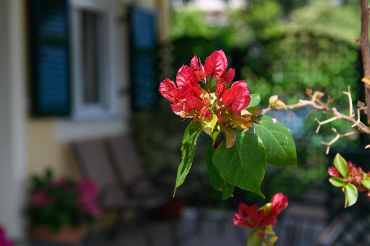 Nostalgia Corfu Town Apartments Екстериор снимка
